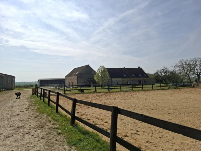 Photos 25 - Equestrian - ? Propriété équestre de caractère - Domaine de plus de