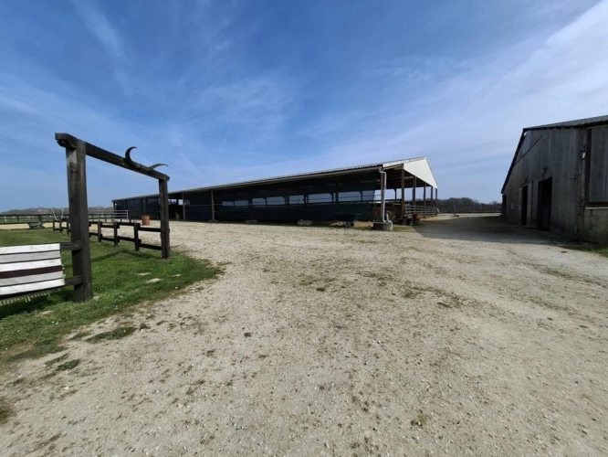 Photos 26 - Equestrian - ? Propriété équestre de caractère - Domaine de plus de
