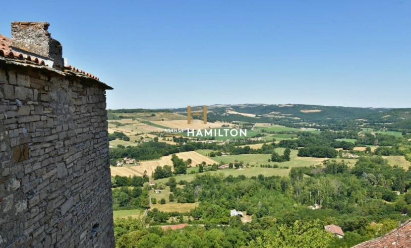 Photos 4 - Prestige - IMMEUBLE HISTORIQUE AVEC JARDIN ET PISCINE INTERIEURE - IDEAL PROJET TOURISTIQUE