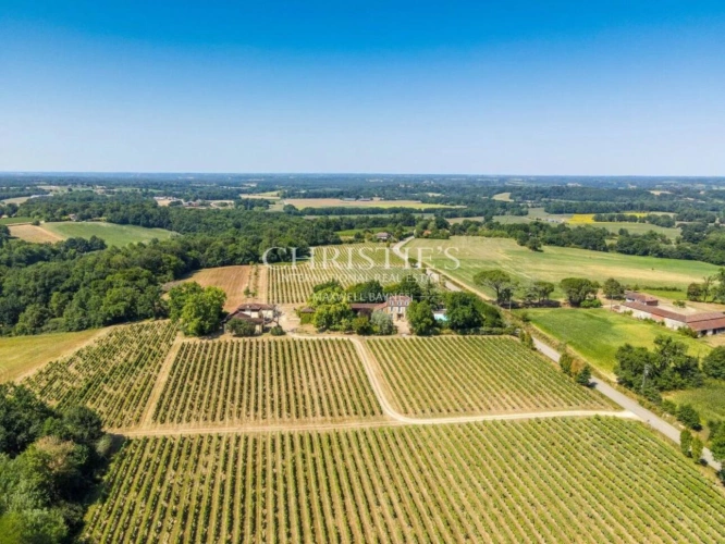 Photos 1 - Viticole - Vente Superbe domaine de Bas Armagnac Biologique