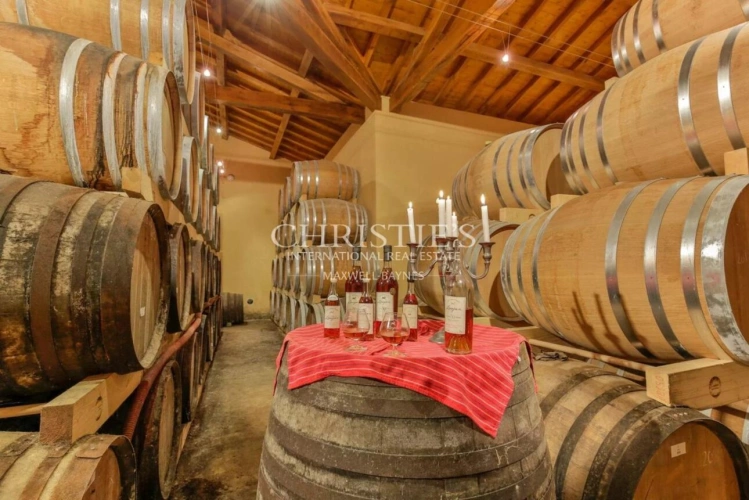 Photos 2 - Viticole - Vente Superbe domaine de Bas Armagnac Biologique