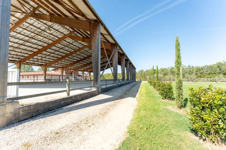 Photos 5 - Équestre - Ecurie haut de gamme