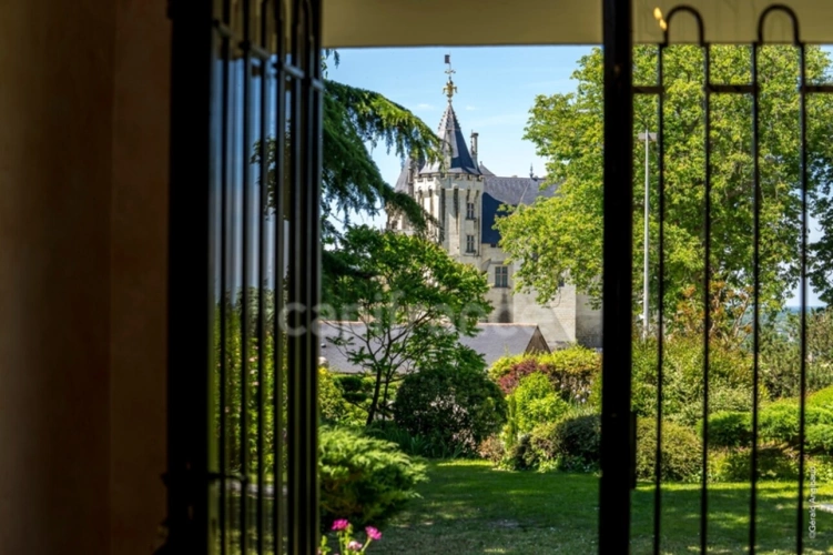 Photos 26 - Prestige - Propriete d'exception à vendre à SAUMUR (49400)  Panorama d'exception sur le château et la Loire - 328m² - 2278m²-piscine