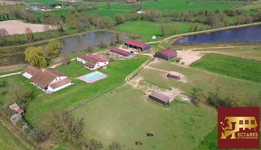 Photos 14 - Équestre - Propriété 21 hectares 2 habitations