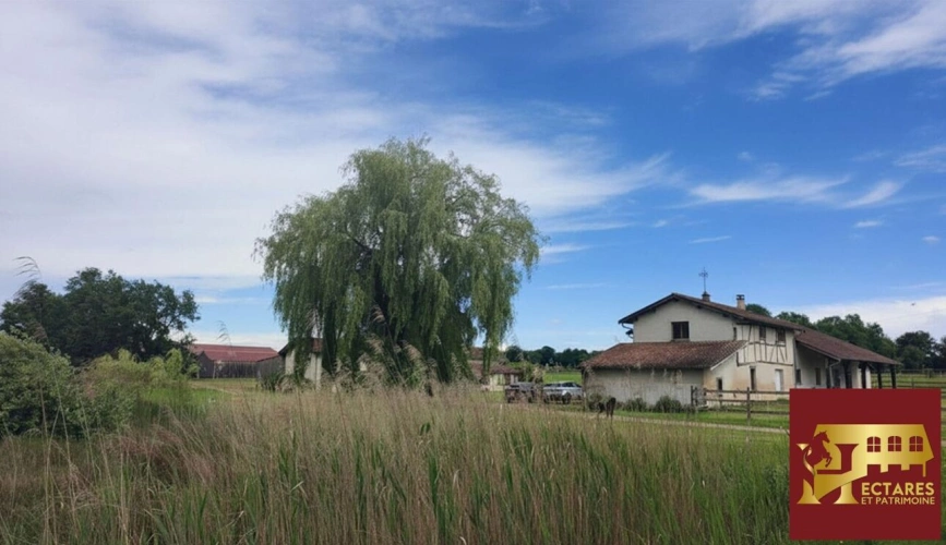 Photos 4 - Équestre - Propriété 21 hectares 2 habitations