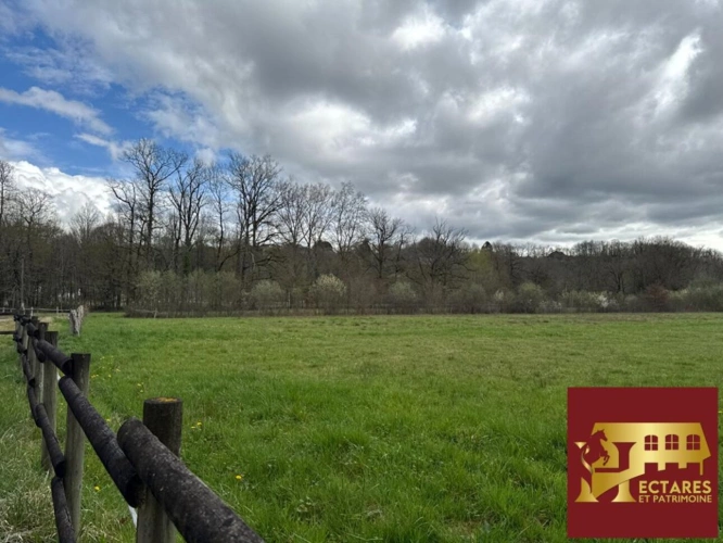 Photos 3 - Rurale - Terrain agricole, 3 hectares avec boxes et carrière