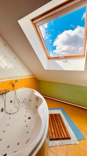 Photos 4 - Prestige - Charmante propriété avec installations équestres