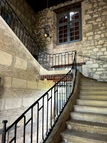 Photos 8 - Prestige - Ensemble de charme & de caractère : château, conciergerie & tour de guêt du XVIIIème près de Saint-Clar (32)