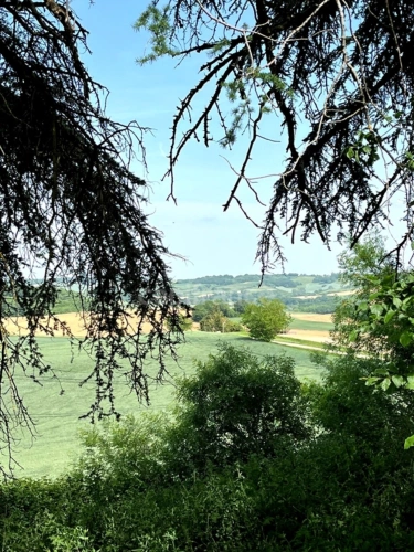 Photos 73 - Prestige - Ensemble de charme & de caractère : château, conciergerie & tour de guêt du XVIIIème près de Saint-Clar (32)