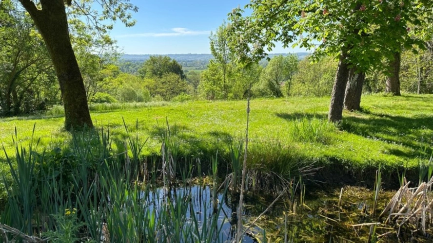 Photos 2 - Prestige - Domaine de 11 hectares avec vue dominante aux portes de Bergerac (24)