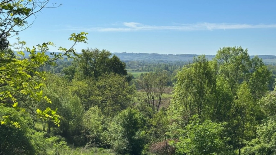 Photos 17 - Prestige - Domaine de 11 hectares avec vue dominante aux portes de Bergerac (24)