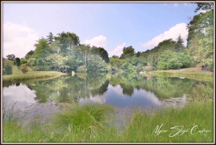 Photos 4 - Prestige - Propriete à vendre 8 pièces  de 350 m² environ à MIMIZAN (40) avec lac privatif, cadre exceptionnel