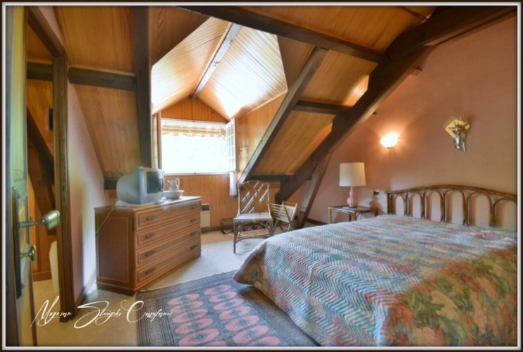 Photos 27 - Prestige - Propriete à vendre 8 pièces  de 350 m² environ à MIMIZAN (40) avec lac privatif, cadre exceptionnel