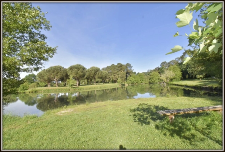 Photos 12 - Touristique - BEGAAR - PROPRIETE de 2 MAISONS - GARAGE + 2 DEPENDANCES