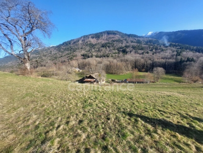 Photos 5 - Rurale - Grange et terrain de 10000 m² à vendre à PRESLE (73)