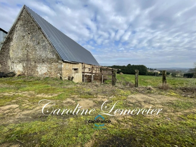 Photos 5 - Rurale - Maison à vendre 0 pièces proche de CONNERRE (72) GRANGE EN PIERRE DE 170 M² AVEC GRNIER SUR TOUTE LA SUPERFICIE , 2500 m² terrain en campagne