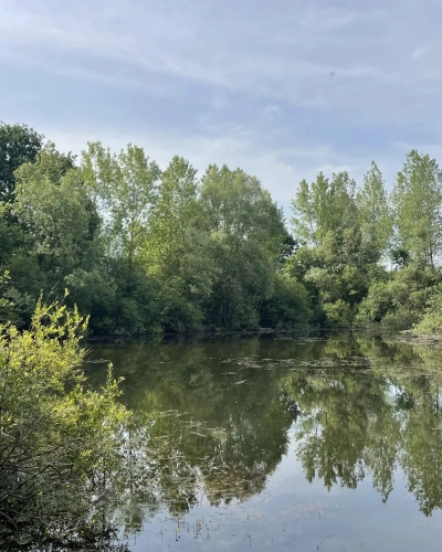 Photos 1 - Forestière - A VENDRE : Magnifique propriété d’agrément sur les Bords de l’Yonne