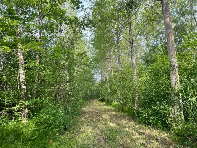 Photos 2 - Forestière - A VENDRE : Magnifique propriété d’agrément sur les Bords de l’Yonne