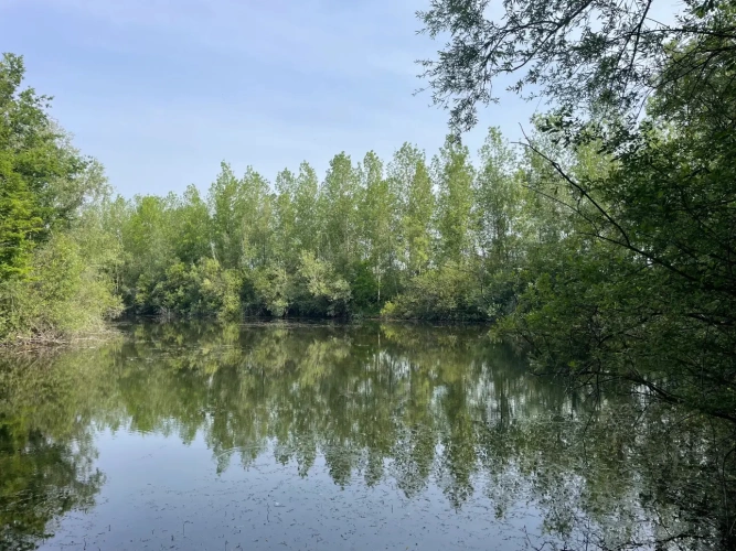 Photos 3 - Forestière - A VENDRE : Magnifique propriété d’agrément sur les Bords de l’Yonne