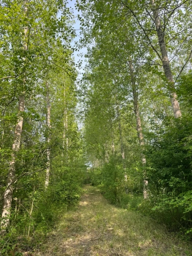 Photos 4 - Forestière - A VENDRE : Magnifique propriété d’agrément sur les Bords de l’Yonne