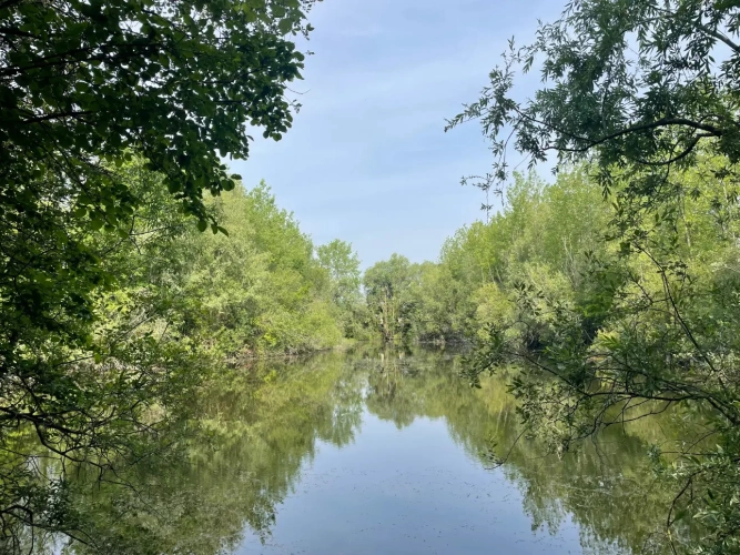 Photos 5 - Forestière - A VENDRE : Magnifique propriété d’agrément sur les Bords de l’Yonne