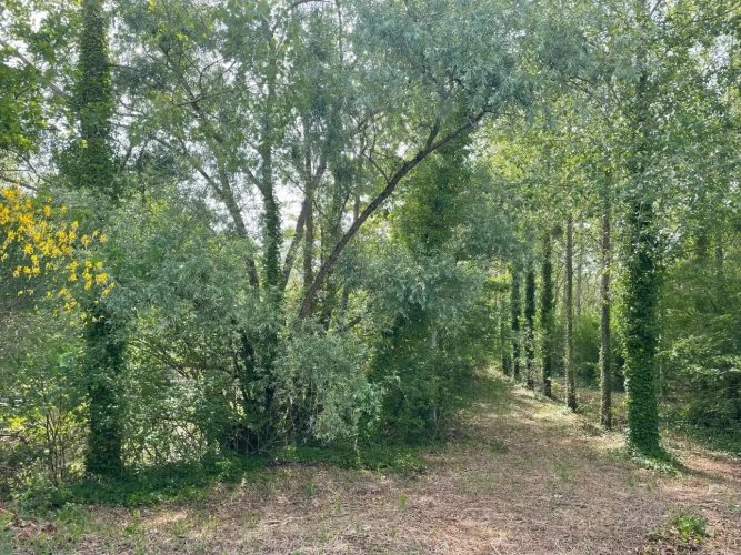 Photos 6 - Forestière - A VENDRE : Magnifique propriété d’agrément sur les Bords de l’Yonne
