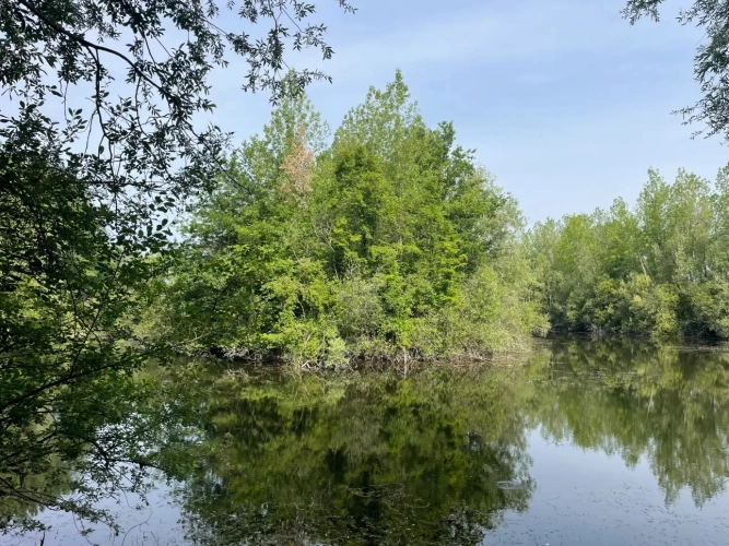Photos 7 - Forestière - A VENDRE : Magnifique propriété d’agrément sur les Bords de l’Yonne