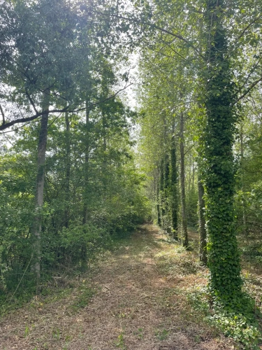 Photos 8 - Forestière - A VENDRE : Magnifique propriété d’agrément sur les Bords de l’Yonne