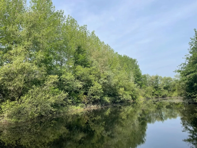 Photos 9 - Forestière - A VENDRE : Magnifique propriété d’agrément sur les Bords de l’Yonne