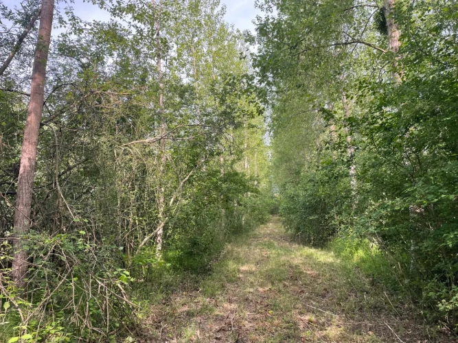 Photos 10 - Forestière - A VENDRE : Magnifique propriété d’agrément sur les Bords de l’Yonne