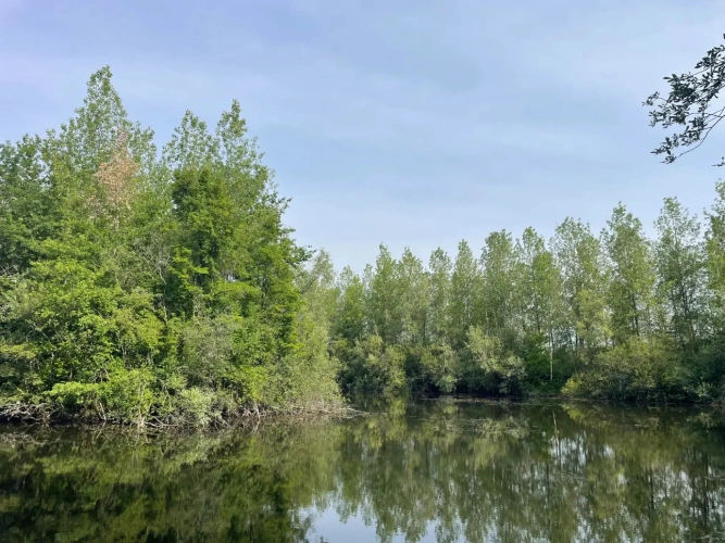 Photos 11 - Forestière - A VENDRE : Magnifique propriété d’agrément sur les Bords de l’Yonne