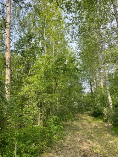 Photos 12 - Forestière - A VENDRE : Magnifique propriété d’agrément sur les Bords de l’Yonne