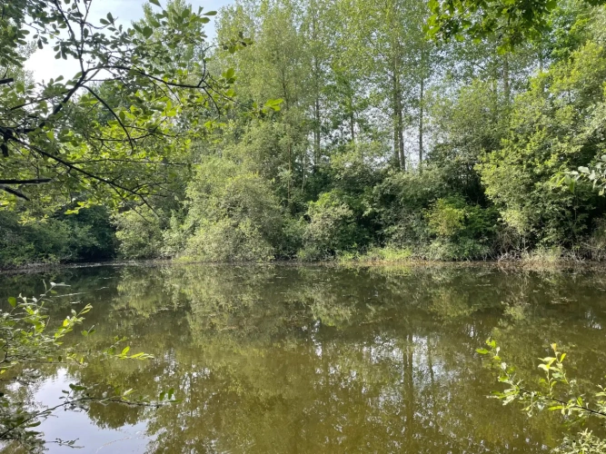 Photos 13 - Forestière - A VENDRE : Magnifique propriété d’agrément sur les Bords de l’Yonne