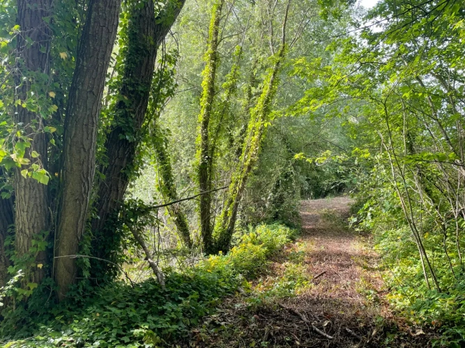 Photos 14 - Forestière - A VENDRE : Magnifique propriété d’agrément sur les Bords de l’Yonne