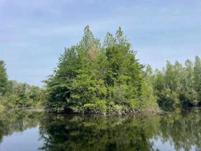 Photos 15 - Forestière - A VENDRE : Magnifique propriété d’agrément sur les Bords de l’Yonne