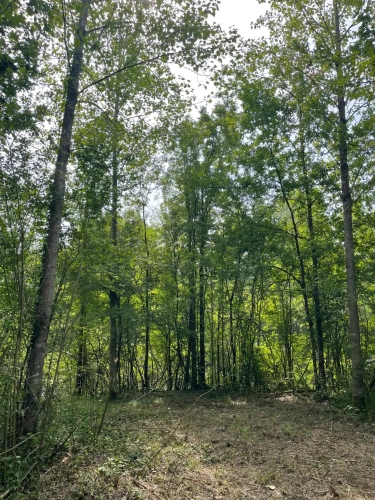 Photos 16 - Forestière - A VENDRE : Magnifique propriété d’agrément sur les Bords de l’Yonne