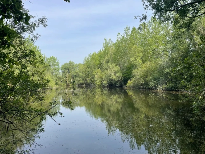 Photos 17 - Forestière - A VENDRE : Magnifique propriété d’agrément sur les Bords de l’Yonne