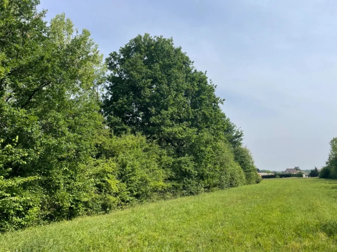 Photos 18 - Forestière - A VENDRE : Magnifique propriété d’agrément sur les Bords de l’Yonne