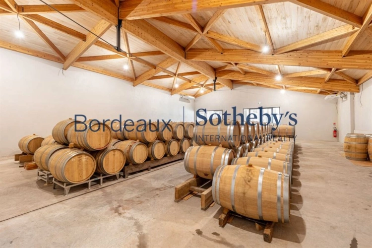 Photos 5 - Viticole - VIGNOBLE D'EXCEPTION EN PESSAC LEOGNAN - 14 HA