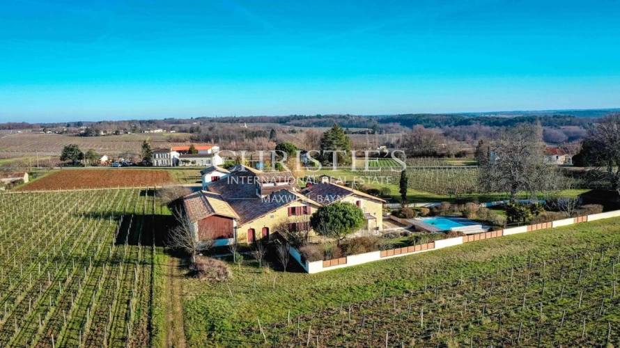 Photos 3 - Viticole - Domaine viticole de référence en biodynamie aux portes de Saint-Émilion