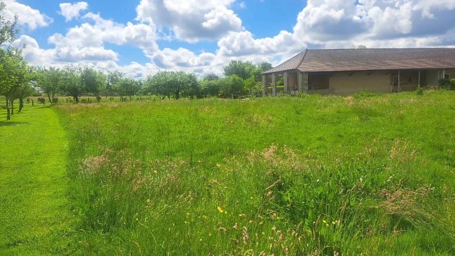 Photos 6 - Prestige - Ferme du XIXe en Bresse et batiments agricoles : alliance du charme et confort moderne