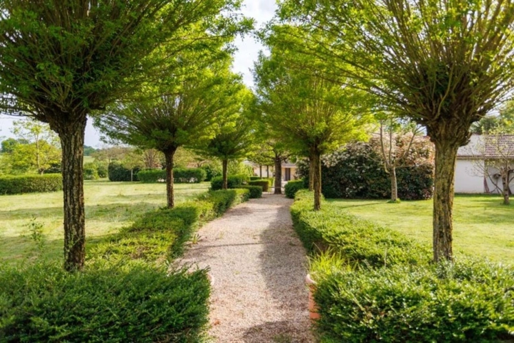 Photos 15 - Rurale - Propriété à vendre 8 pièces, 10 min de Paray Le Monial(71)