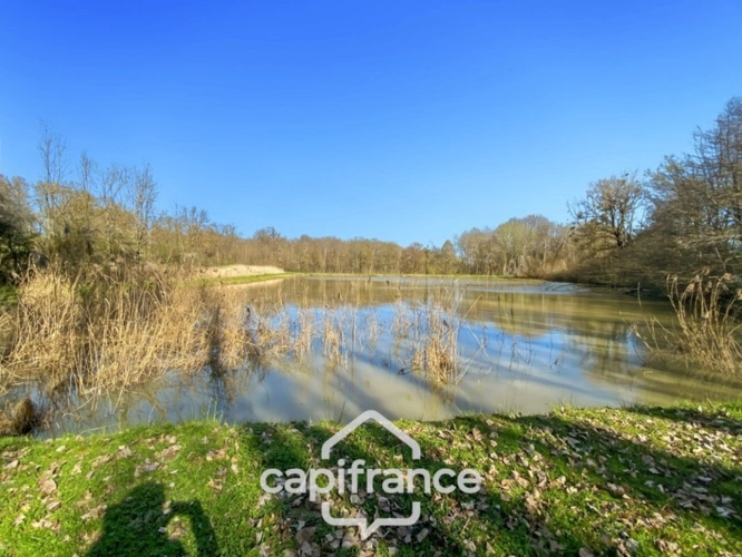 Photos 3 - Rurale - Etang de 7000m² - SAVIGNY SUR SEILLE (71)