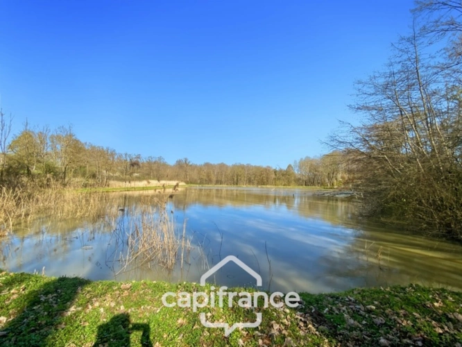 Photos 4 - Rurale - Etang de 7000m² - SAVIGNY SUR SEILLE (71)