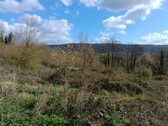 Photos 4 - Agricole - Terrain à vendre  7 578 m² CHATEAUNEUF DU FAOU (29)