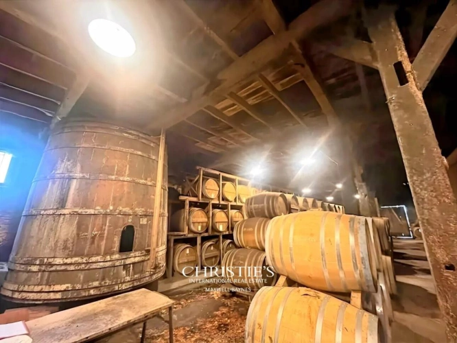 Photos 1 - Viticole - Au coeur du Bas-Armagnac - Domaine en production, chais d'exception, maison de maitre à sublimer