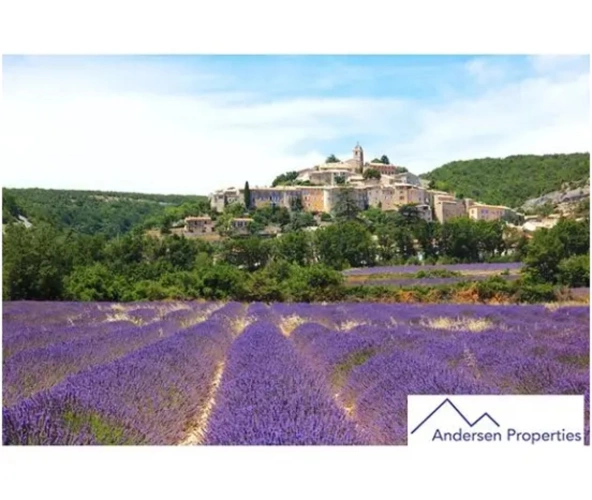 Photos 1 - Viticole - À Vendre : Domaine Viticole en Viager Libre dans le Var (83)