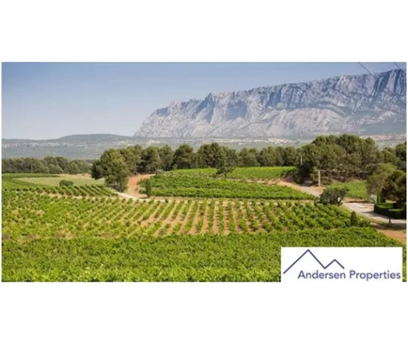 Photos 3 - Viticole - À Vendre : Domaine Viticole en Viager Libre dans le Var (83)