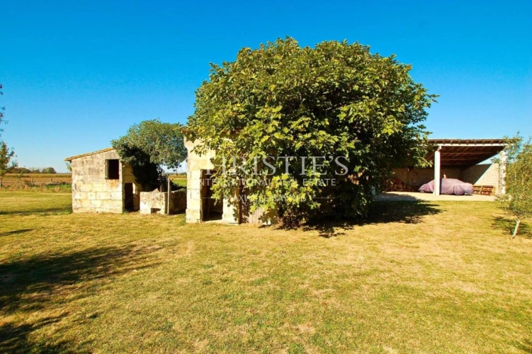 Photos 22 - Prestige - Propriété de charme avec vue sur la Dordogne – 2,9 ha d’un seul tenant