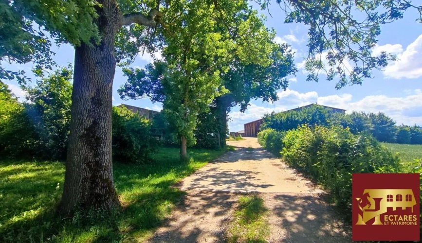 Photos 16 - Prestige - Propriété agricole 48 hectares